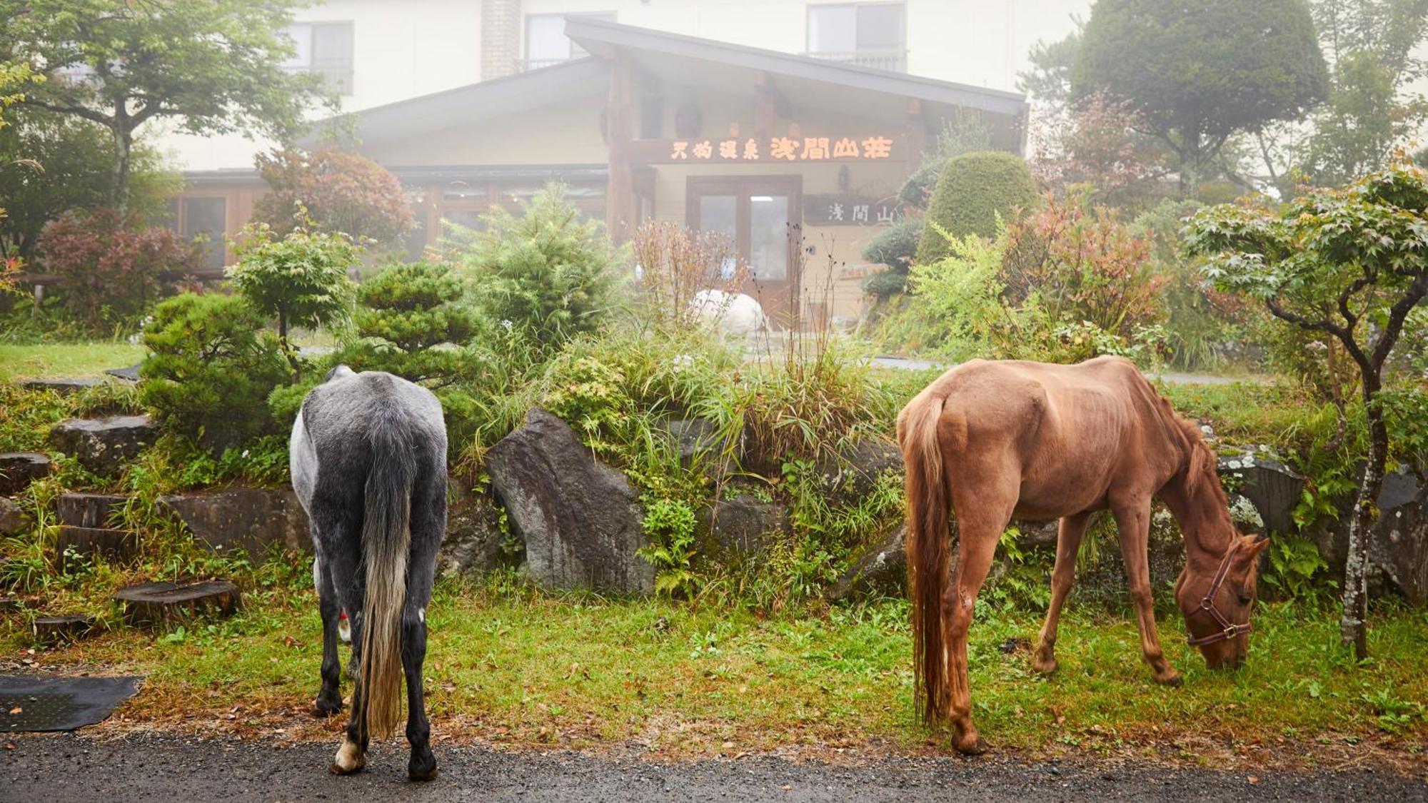 Tengu Onsen Asama Sanso Komoro Zewnętrze zdjęcie